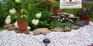 سوفت سكيب – هارد سكيب – اللاند