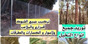 توريدالنخيل وتركيب الشبوك