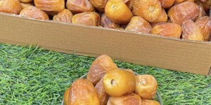 حلا الوادي تمور وعسل ومنتجات اخرى