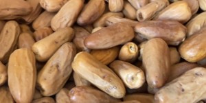 ‏تمر بياض نجران حبه كبيره